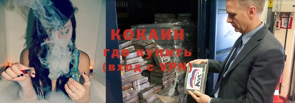 гидра Горняк