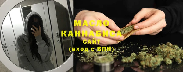 гидра Горняк