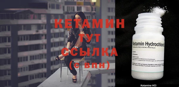 гидра Горняк