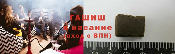 гидра Горнозаводск