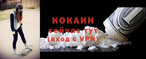 гидра Горняк