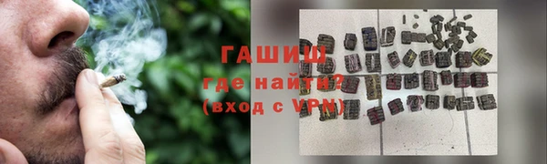 гидра Горняк