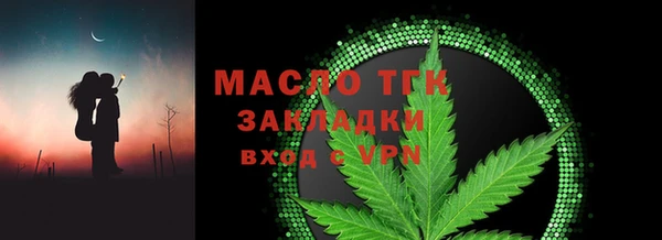 гидра Горняк