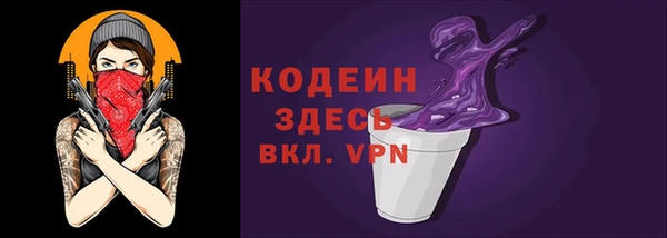 гидра Горняк