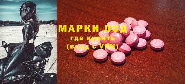 гидра Горнозаводск