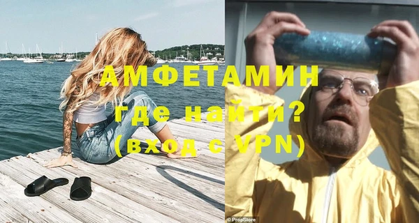 гидра Горняк