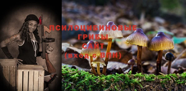 гидра Горнозаводск