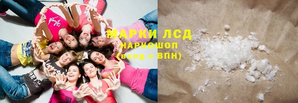 гидра Горняк
