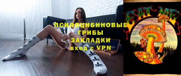 гидра Горняк