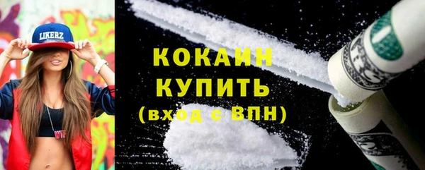 гидра Горняк