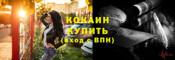 гидра Горнозаводск