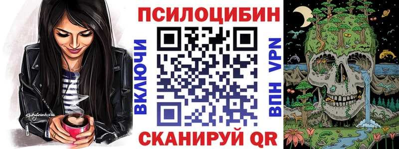 Псилоцибиновые грибы Psilocybine cubensis  Купить  Белинский 